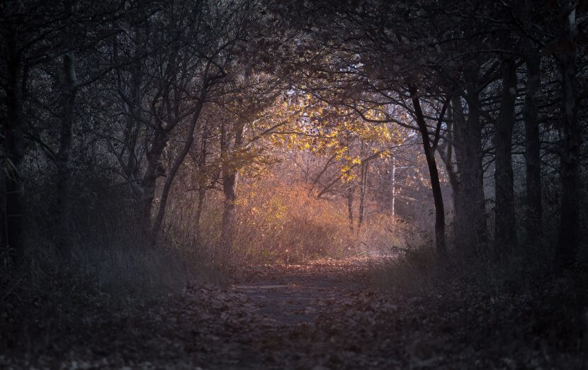 Die Wälder Schweigen Analyse Die Wälder schweigen (Erich Kästner) - Psychologische Akademie für