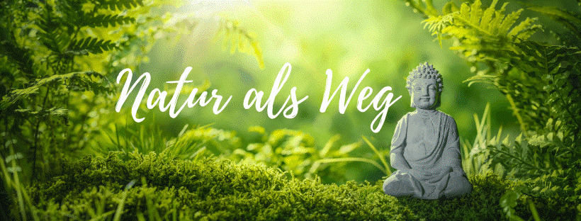 Newsletter Header Natur als Weg