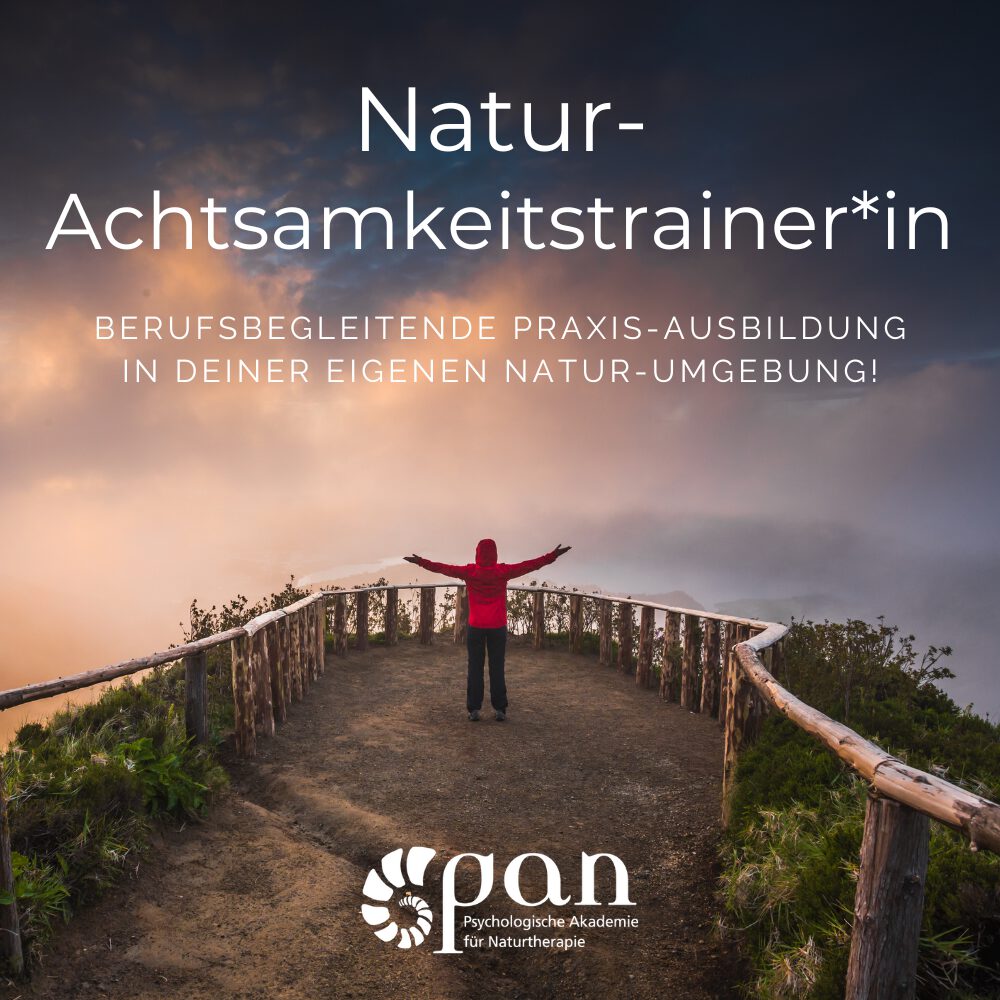Natur-Achtsamkeitstrainer-Ausbildung