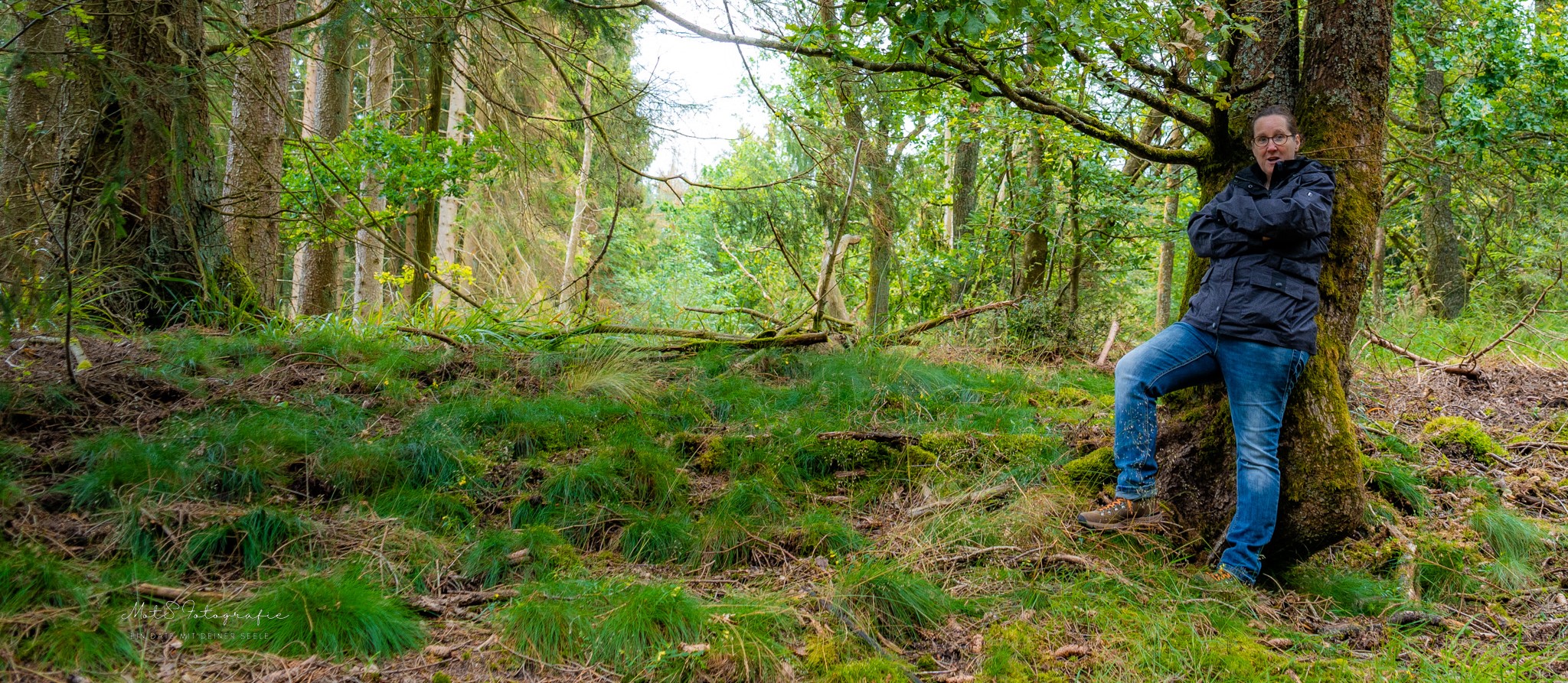 Natur-Achtsamkeitstraining Eifel