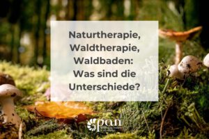 Naturtherapie, Waldtherapie, Waldbaden: Was sind die Unterschiede?