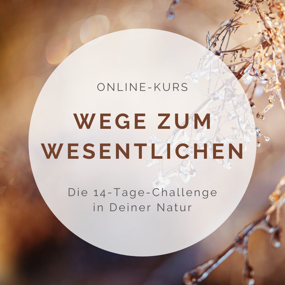 Onlinekurs Natur-Achtsamkeit