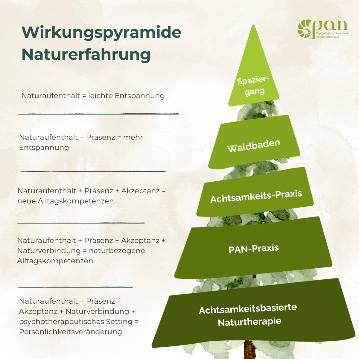 Wirkungen Naturerfahrung