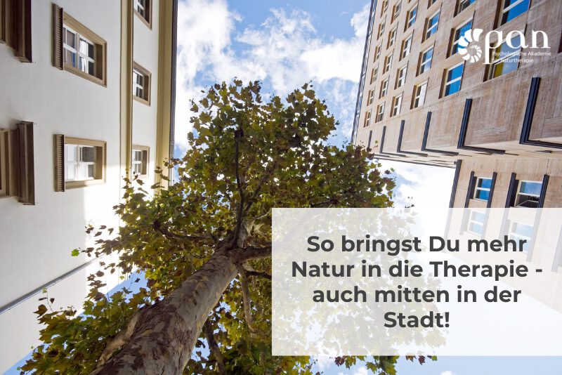 Naturterapie in der Stadt