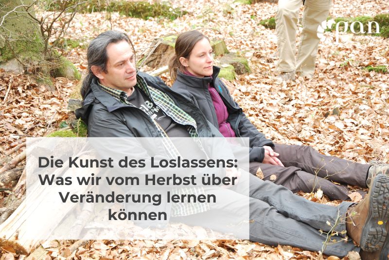 Die Kunst des Loslassens: Was wir vom Herbst über Veränderung lernen können