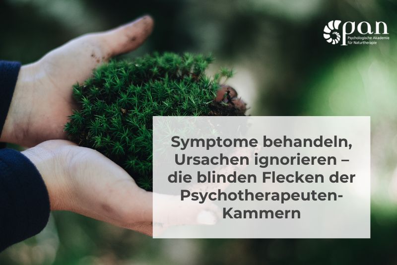 Symptome behandeln, Ursachen ignorieren – die blinden Flecken der Psychotherapeuten-Kammern