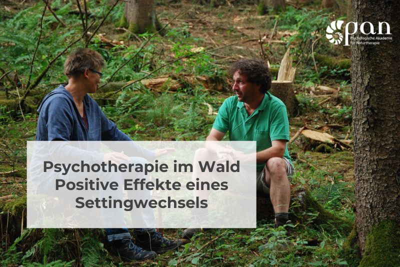 Psychotherapie im Wald - Positive Effekte eines Settingwechsels