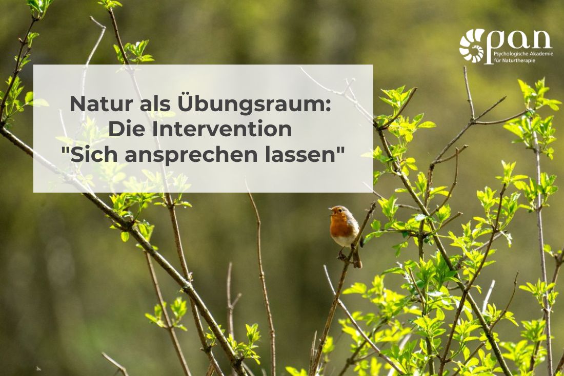 Natur als Übungsraum Die Intervention "Sich ansprechen lassen"